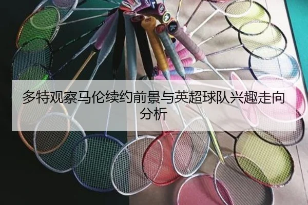 多特观察马伦续约前景与英超球队兴趣走向分析