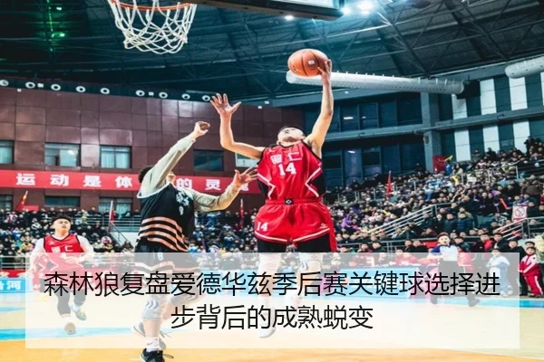 森林狼复盘爱德华兹季后赛关键球选择进步背后的成熟蜕变